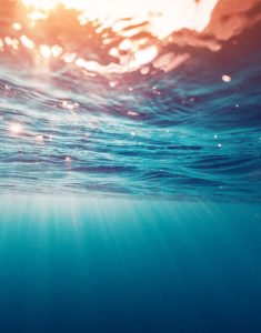 7d82ddcc55_126034_ocean-dudarev-mikhail-fotolia-01