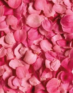 désodorisant senteur rose