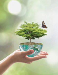 istockphoto-961077862-612×612