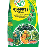 Fongicide FOSEPHYT 80% WP en poudre, utilisé contre Phytophthora et maladies des cultures