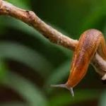 images (4)