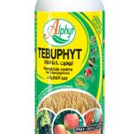TEBUPHYT