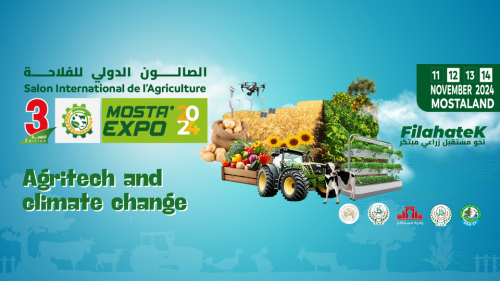 MOSTA EXPO2024
