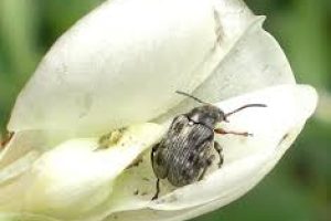 images (11)