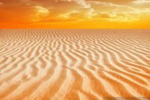 images (7)